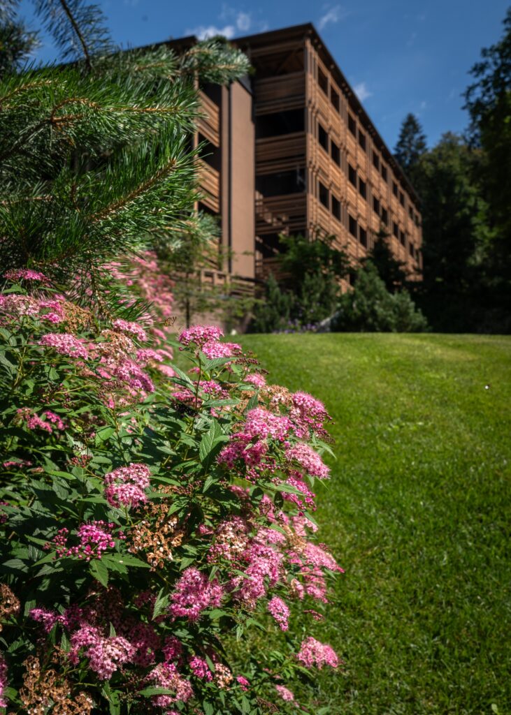 © Alberto Poletti - Fotografo Hotel Trentino