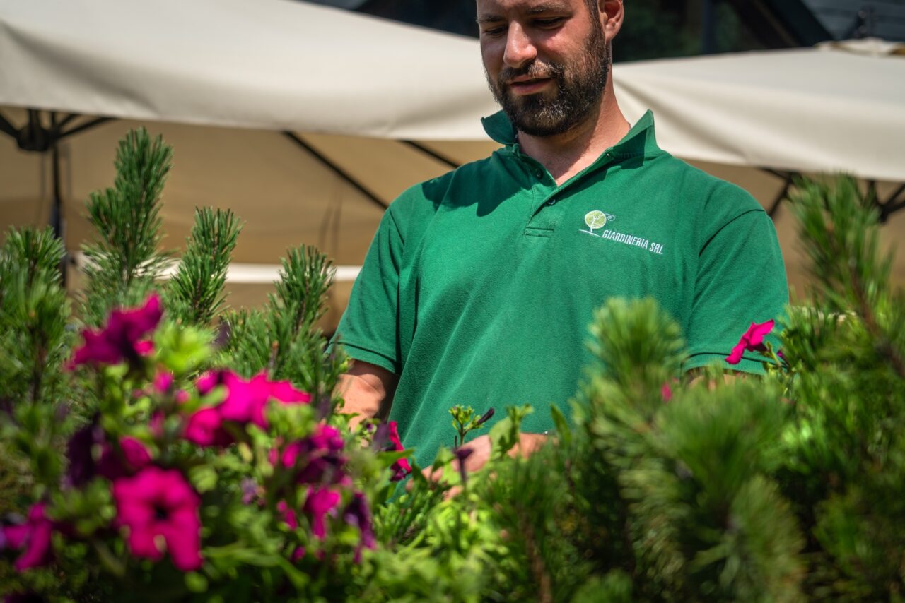 © Alberto Poletti - Fotografo Hotel Trentino